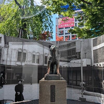 Shibuya Highlights Hachiko Scramble Meiji Jingu and Sky