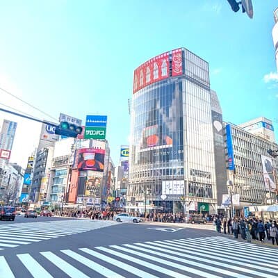 Shibuya Highlights Hachiko Scramble Meiji Jingu and Sky 2