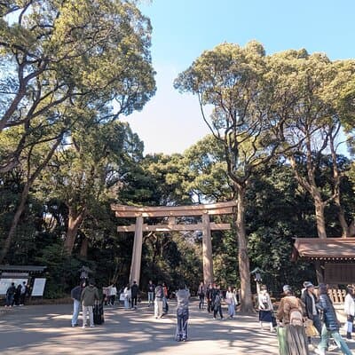 Shibuya Highlights Hachiko Scramble Meiji Jingu and Sky 4