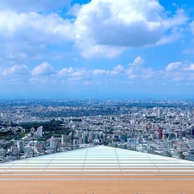 Shibuya Highlights Hachiko Scramble Meiji Jingu and Sky 3