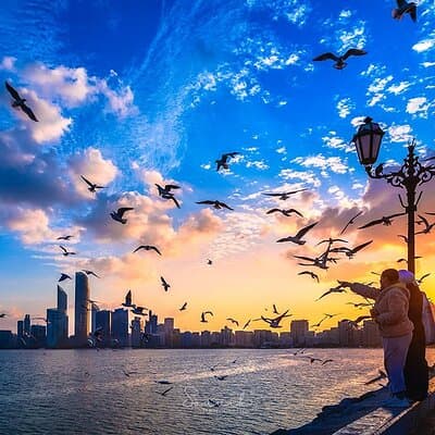 Abu Dhabi Full Day City Tour with English Speaking Guide