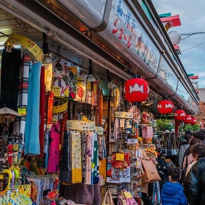 Tokyo: Private Walking Tour with a Local Guide 5