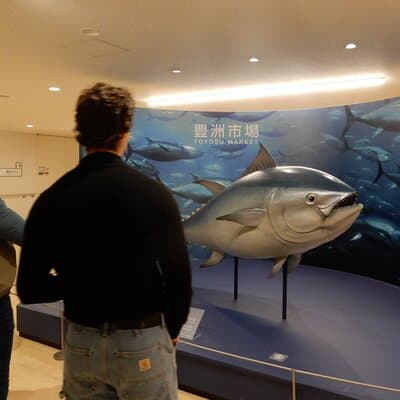 Tuna Auction in Toyosu and Tsukiji Fish Market Tour 4