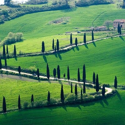Private Transfer Rome to Florence with a stop to visit Siena