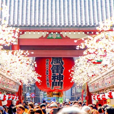 Tokyo Private Group Tour – Flexible Schedule and Stops 5