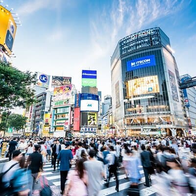 Tokyo Private Group Tour – Flexible Schedule and Stops 4
