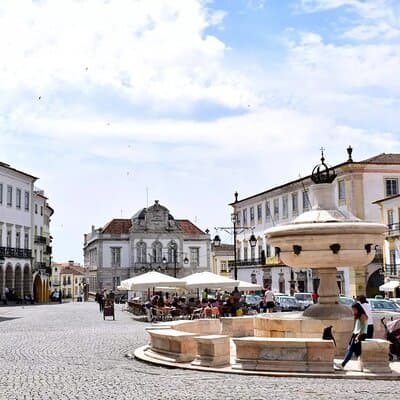 Évora Private Tour - Cork Factory Visit & Wine Tasting Included 5