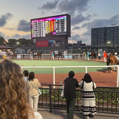 Horse Racing Tour with Local Fans in Tokyo, Oi Racecourse 3