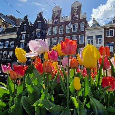 Amsterdam Self Guided Walking Route of Highlights and Hidden Gems