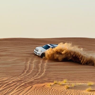 Private Desert Safari with Live Shows, Dinner & Camel Ride 4