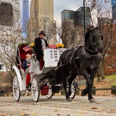 Official Private NYC CentralPark Horse Carriage Ride Since 1972 5