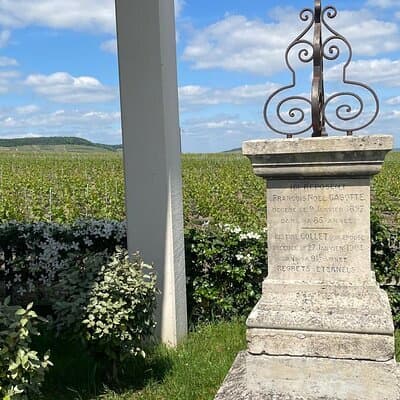 Transfer from Paris to Reims or Epernay 4