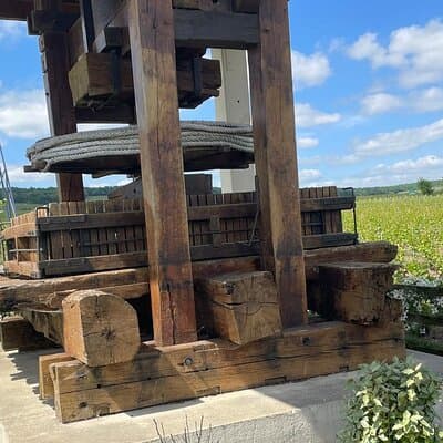 Transfer from Paris to Reims or Epernay 5