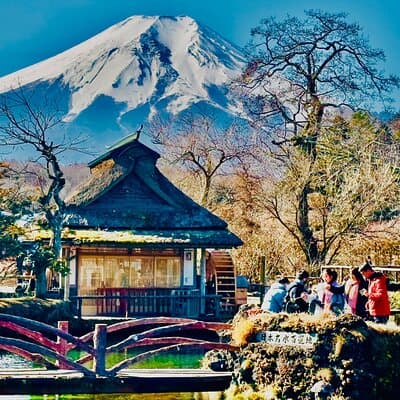 Vip | Mount Fuji Signature Tour | Private Luxury from Tokyo 4