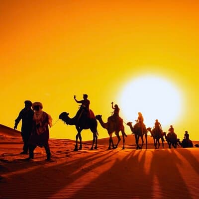 Sunset Evening Desert Safari with Dune Bashing Camel Ride & BBQ