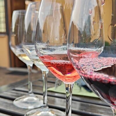 Vatican Pasta class with full wine tasting 4wines in cozy rooftop 2