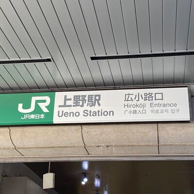 Ueno Park Ameyoko Market Walking Tour with Japanese Tokyo Local 2