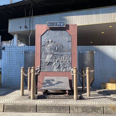 Ueno Park Ameyoko Market Walking Tour with Japanese Tokyo Local 4