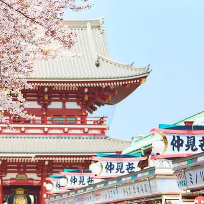Tokyo : Hand-Roll Sushi Class, Skytree view & Asakusa Tour 3