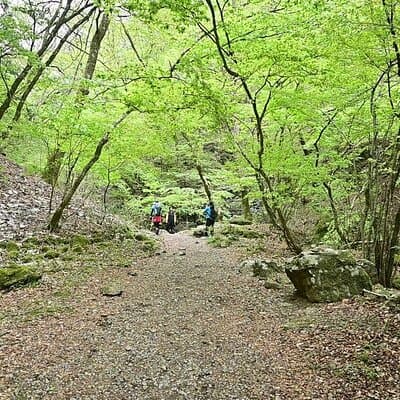 Hiking Adventure to Mt. Mitake, escaping from the Heart of Tokyo