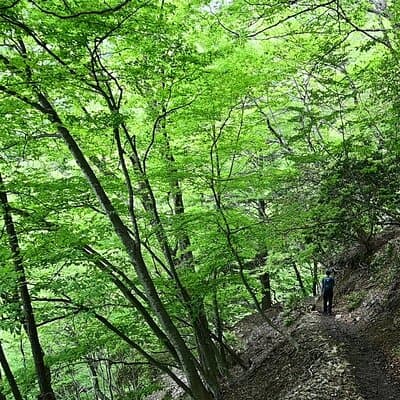 Hiking Adventure to Mt. Mitake, escaping from the Heart of Tokyo 2