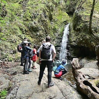 Hiking Adventure to Mt. Mitake, escaping from the Heart of Tokyo 3