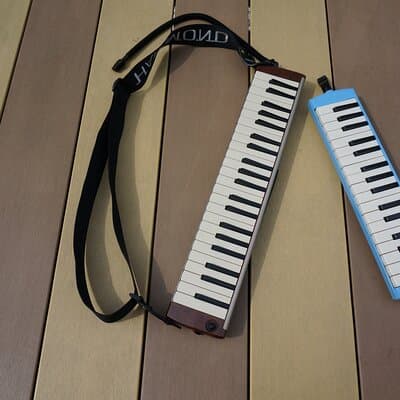 Unique Music Experience with Melodica originated in Japan 3