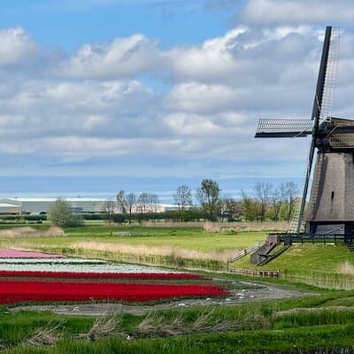 Private Tours to Zaanse Schans, windmill house, Volendam, Marken 3
