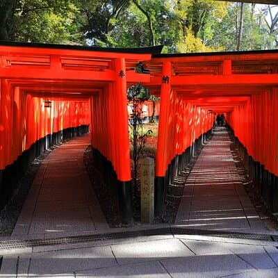 Super Express Nara & Kyoto Private 1-Day Tour from Tokyo 3