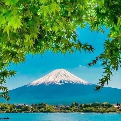 Mount Fuji Luxury Tour in Mercedes-Benz | Green Plate Car