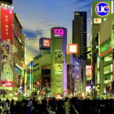 Shibuya Evening Walking Tour Tokyo in a Flash 5