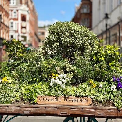 Secrets of London Covent Garden & Rules Restaurant Tour 4
