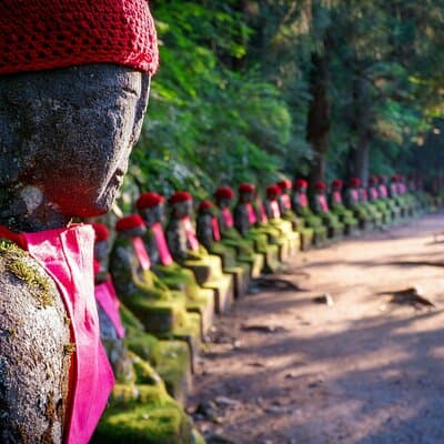 Tokyo, Hakone, Mt Fuji, and Nikko, 3 Day Private Tour 5
