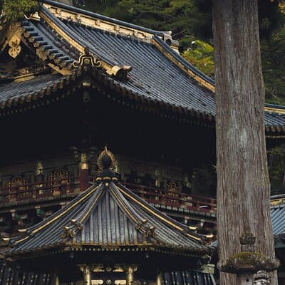 Tokyo, Hakone, Mt Fuji, and Nikko, 3 Day Private Tour 3