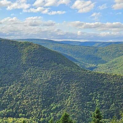 Sydney Cape Breton Shore Excursion: Cabot Trail Scenic Tour 4