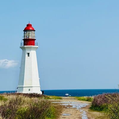 Sydney City & Ocean Views Tour – 2-Hour Cruise Guest Favorite 3