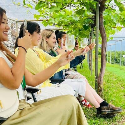 Private Wine Tasting Tour in Yamanashi Prefecture by Car