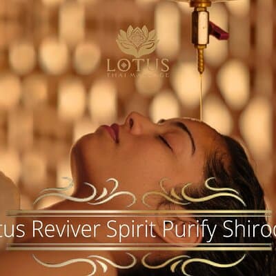 All Thai Aroma massage & Full SPA Treatments Therapy Programs 4