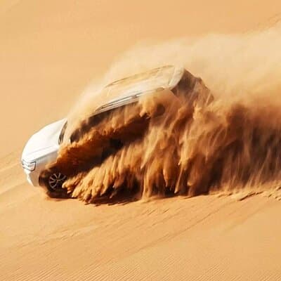 Dubai Desert Escape: Red Dunes Safari, Falcon, Camel & BBQ Dinner