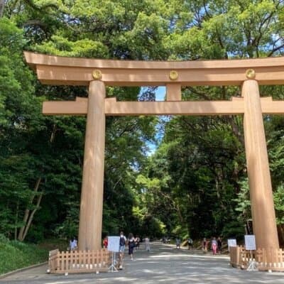 Tokyo Pop Culture & Tradition Tour: Meiji Shrine to Harajuku 5