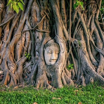 Bangkok to Ayutthaya: Temples & Local Candy One Day Tour