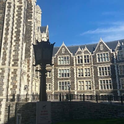Gospel Mass and Harlem Walking Tour in French in Small Group 3