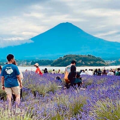 Mt. Fuji Spanish & English tour 3