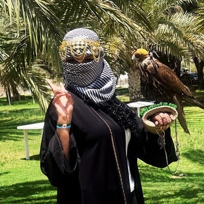 Lahbab Sunset Safari – Camel Ride, Dune Bashing, BBQ & Live Shows 5