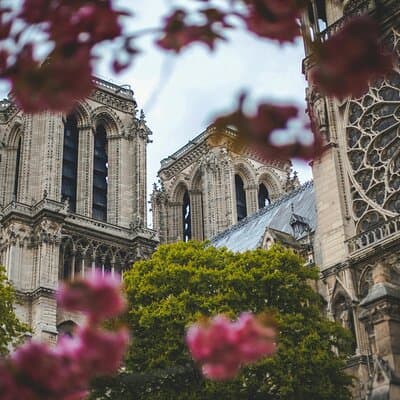 The Best Private Paris Tour with a Car, Tour Guide and Pick up 2