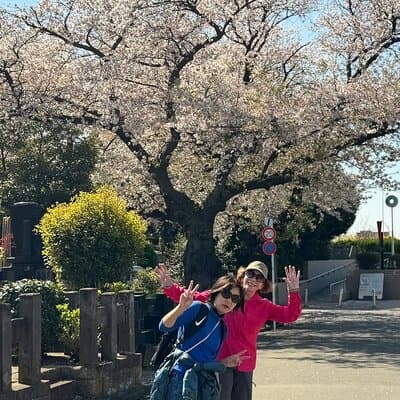 Historic Temple・traditional Japanese garden＆ Eating around at a shopping strip