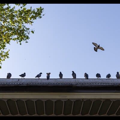 Photograph Istanbul 5