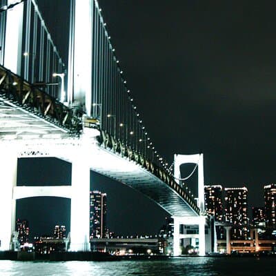 Tokyo After Dark Scenic Night Tour 3