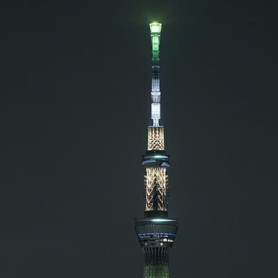 Tokyo After Dark Scenic Night Tour 4