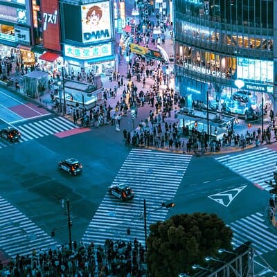 Tokyo After Dark Scenic Night Tour 5